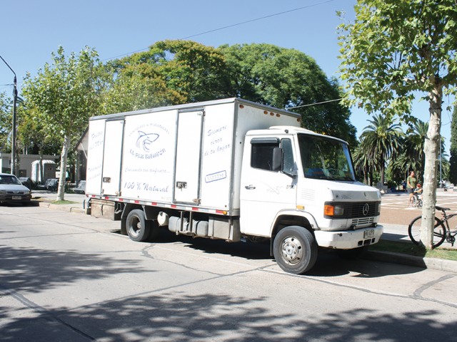 Llegó el pescador, “El Pez Tiburón”