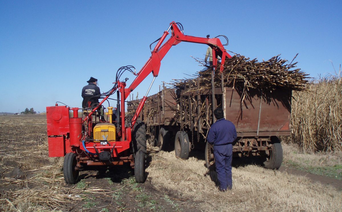 ALUR facturó 250 millones de dólares en 2015 