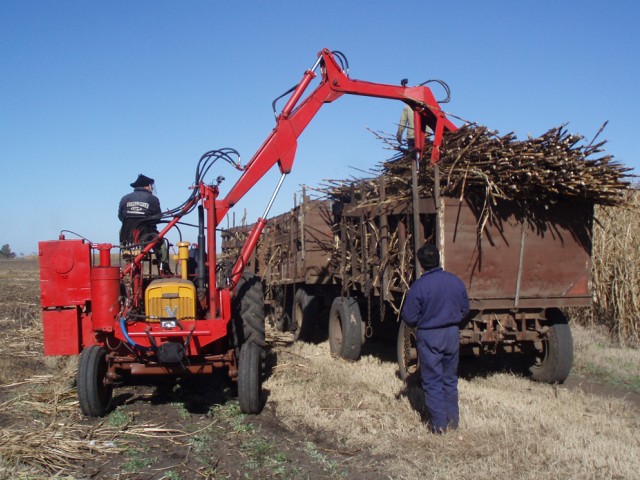 ALUR facturó 250 millones de dólares en 2015 