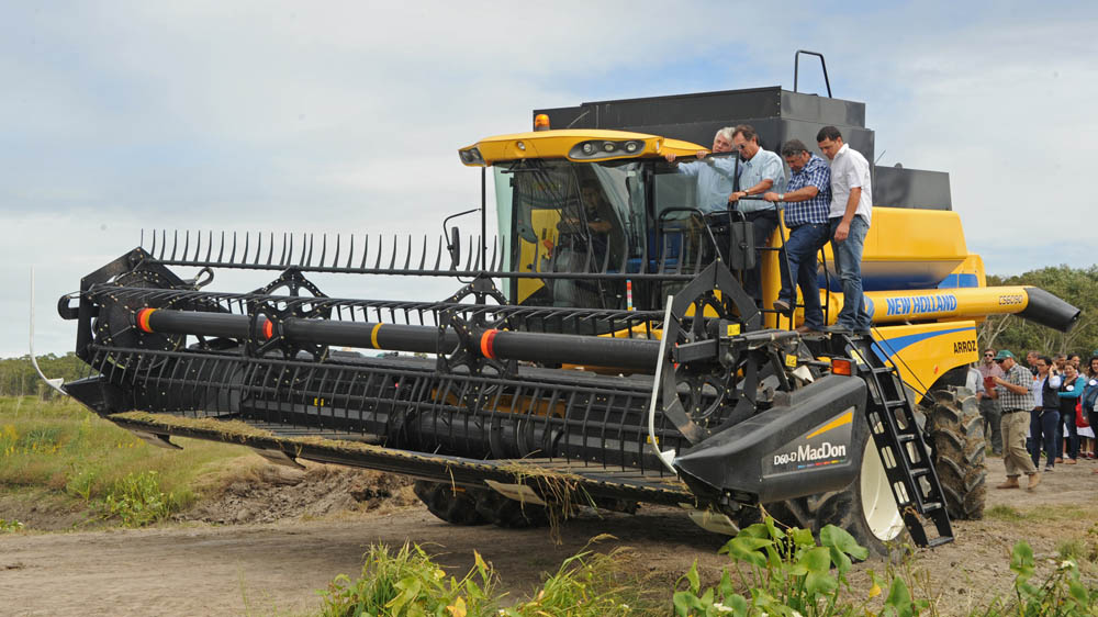 Uruguay posee 170.000 hectáreas de arroz plantadas con perspectiva de acrecentar el ingreso económico