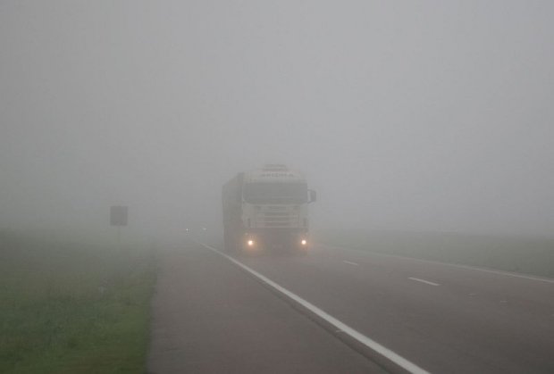 8 Consejos para manejar con niebla: lo que no debemos hacer