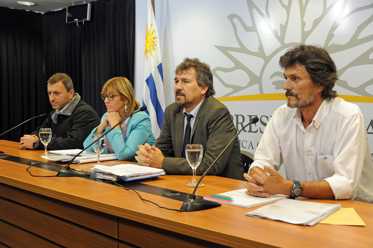 Espirometrías positivas disminuyeron 20 % en el primer semestre del año