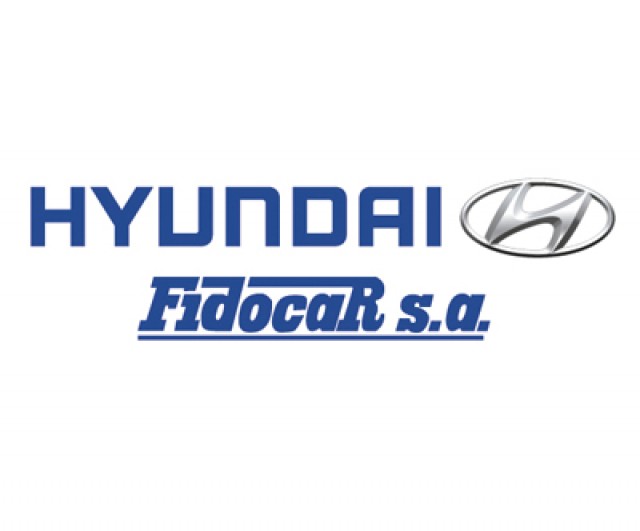 HYUNDAI FIDOCAR 