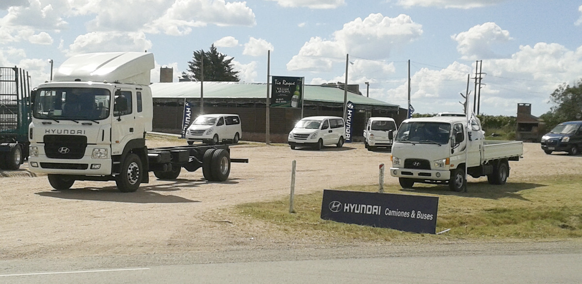 Éxito de ventas  de Hyundai en Tala