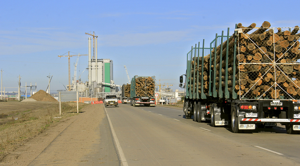 Peso máximo permitido para ejes triples homogéneos de doce neumáticos en el corredor Montevideo-Zona Franca Punta Pereira