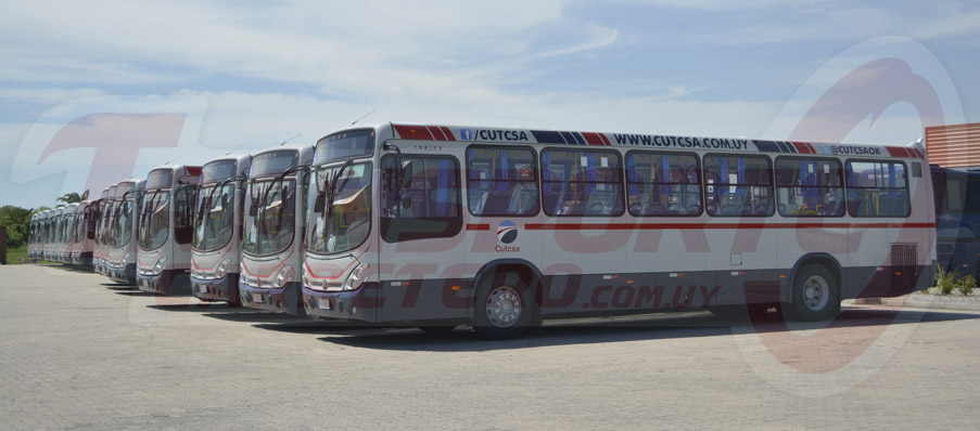 Marcopolo Torino: el ómnibus más destacado en el sector urbano