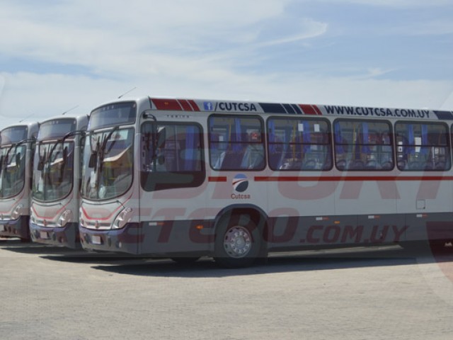 Marcopolo Torino: el ómnibus más destacado en el sector urbano