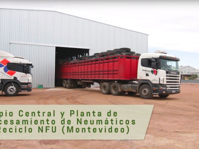 Plantas de acopio contienen 5.000 toneladas de neumáticos en desuso en cumplimiento de normativa de Dinama