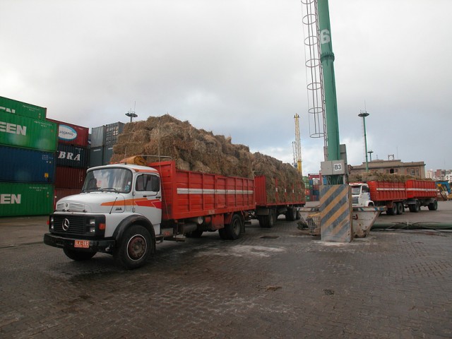 Exportaciones de bienes de Uruguay aumentaron 1,6 % en el acumulado del año