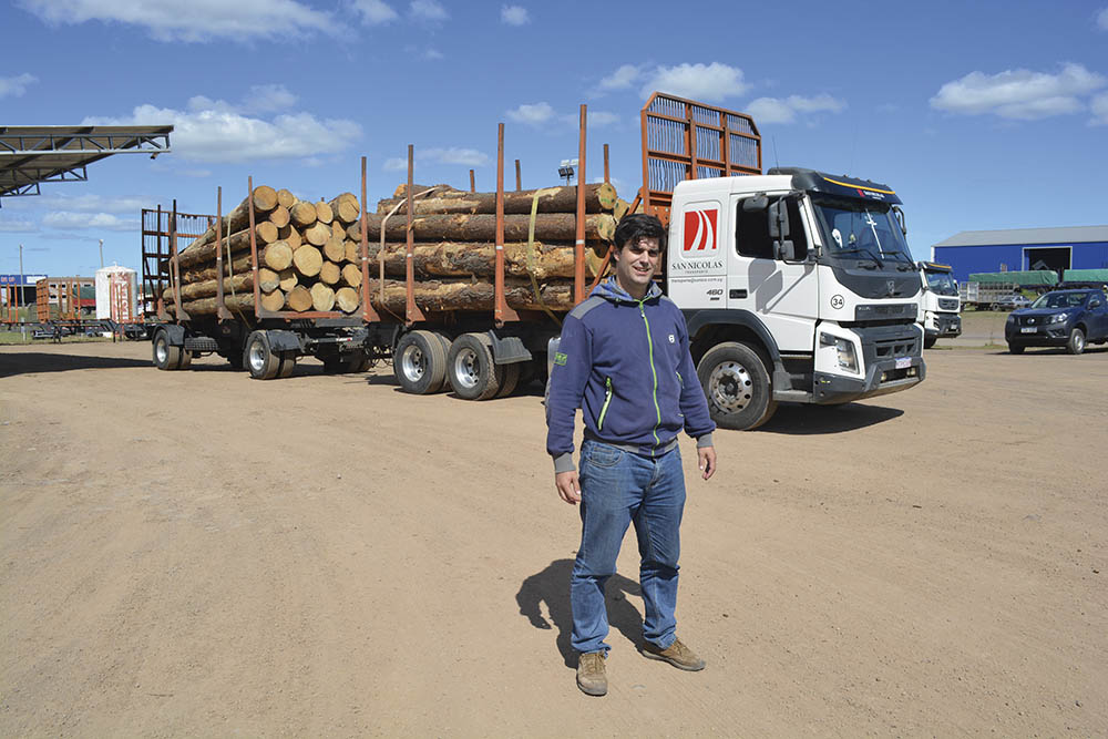 Agustín Viana, Director de San Nicolás: “Nuestros desafíos son crecer en el rubro forestal e incursionar en otros”