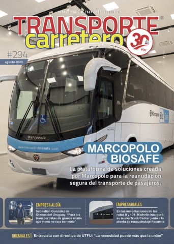 Nº 294 - agosto 2020