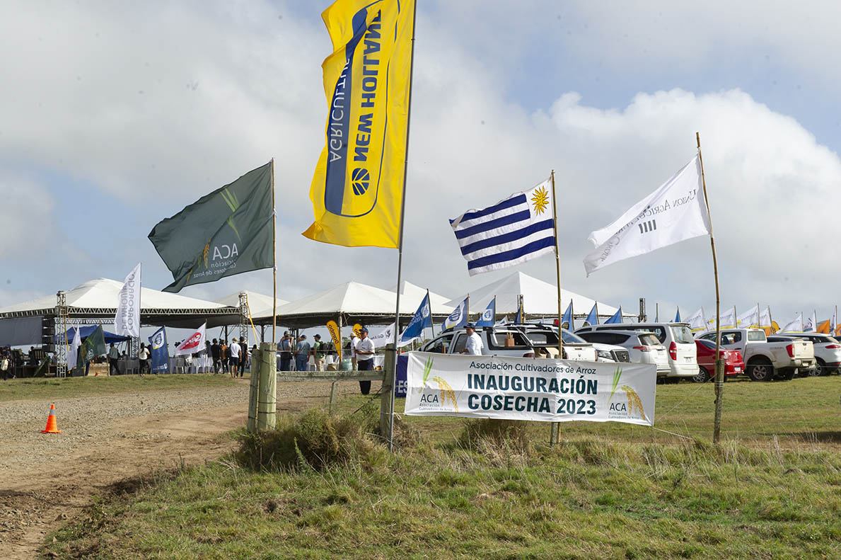 Inauguración de la cosecha de arroz 2023