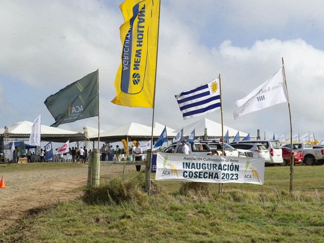 Inauguración de la cosecha de arroz 2023