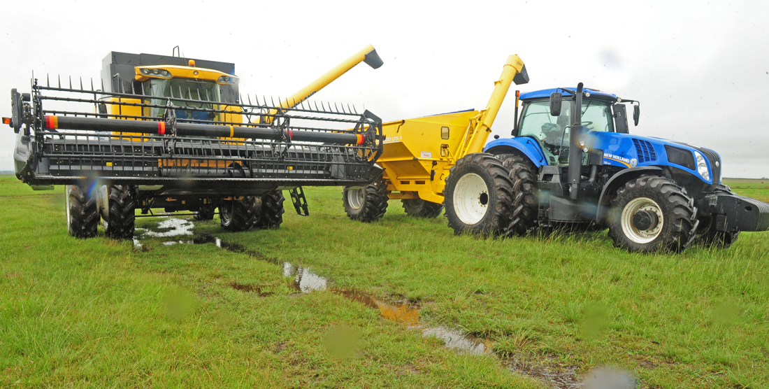 El transporte de arroz está expectante de lo que se considera un “año bisagra” para el producto