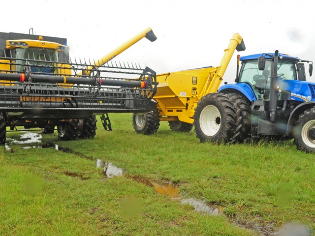 El transporte de arroz está expectante de lo que se considera un “año bisagra” para el producto