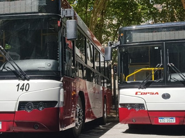 No se han registrado contagios de coronavirus en el transporte público