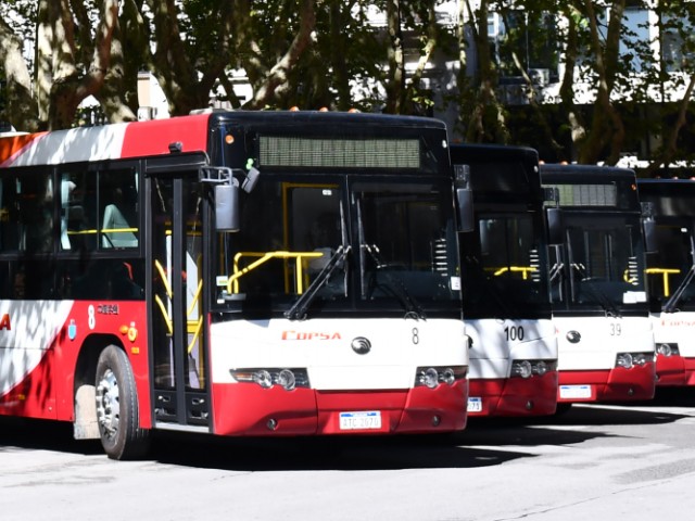 Aumentarán frecuencias del transporte de pasajeros