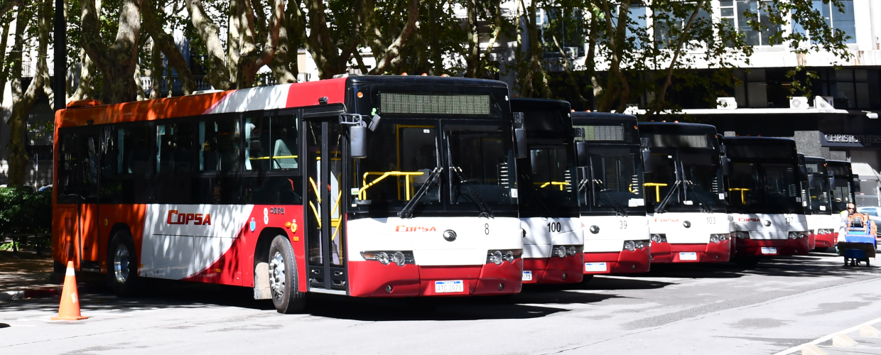 Aumentarán frecuencias del transporte de pasajeros