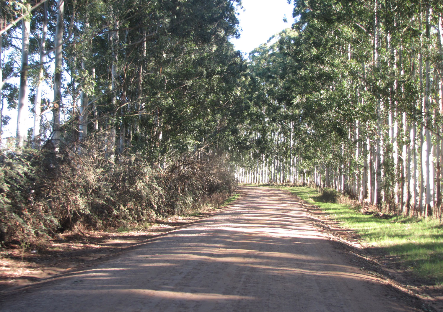 FDI incorpora tecnología para mejorar la calidad de la caminería rural