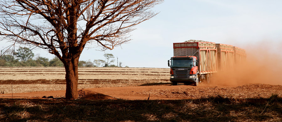 Brasil: balance del mercado de camiones y ómnibus en 2014