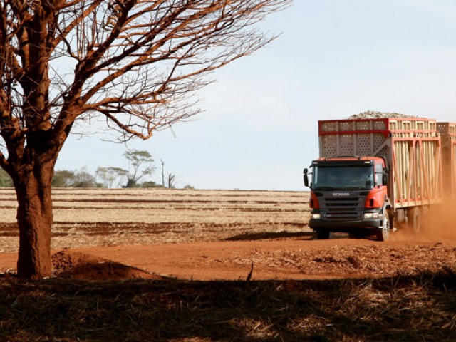 Brasil: balance del mercado de camiones y ómnibus en 2014