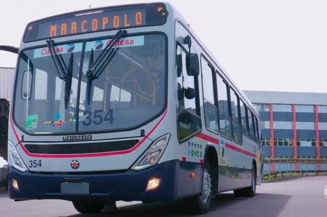 Marcopolo y Mercedes-Benz entregan 102 nuevos autobuses a CUTCSA