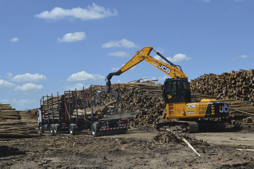 Industria forestal emplea a 25.000 personas y aporta 3,6 % al producto interno bruto de Uruguay