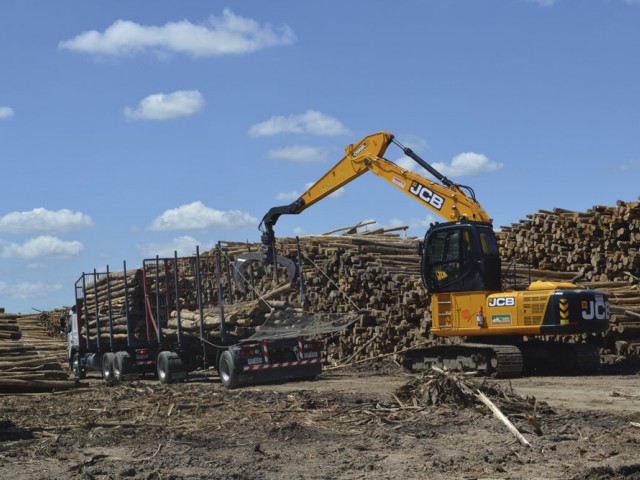 Industria forestal emplea a 25.000 personas y aporta 3,6 % al producto interno bruto de Uruguay