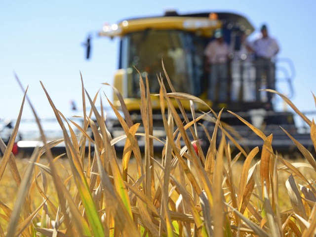 Se inauguraró la cosecha de arroz 2015 en Treinta y Tres