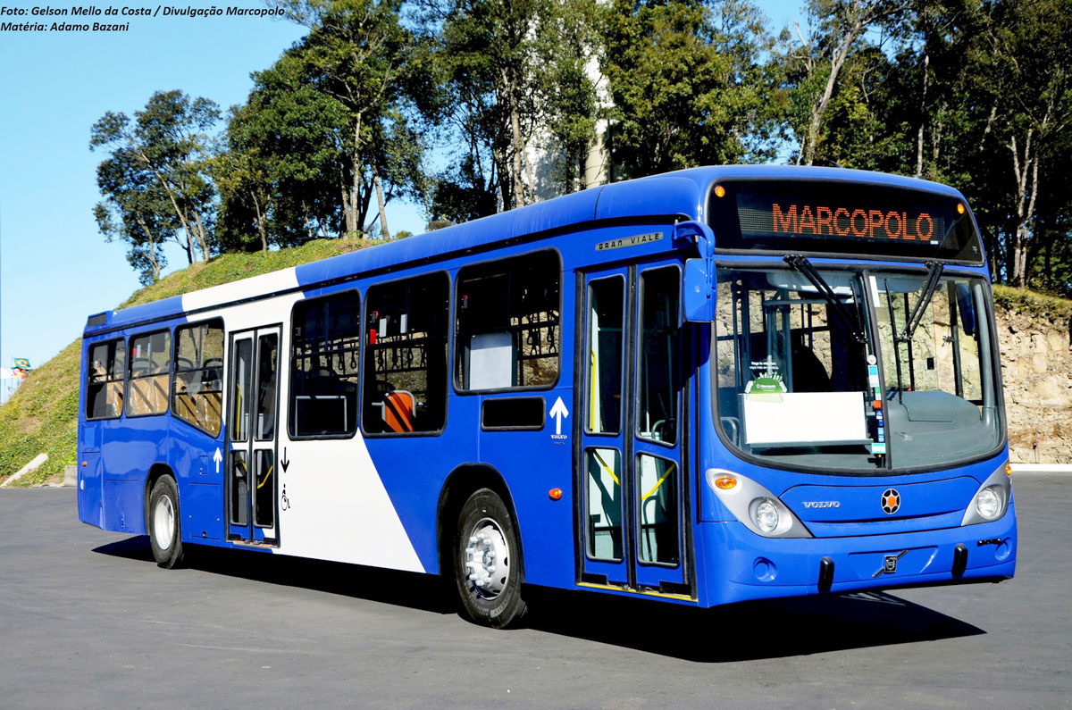 Marcopolo vende 35 ómnibus Gran Viale para Chile