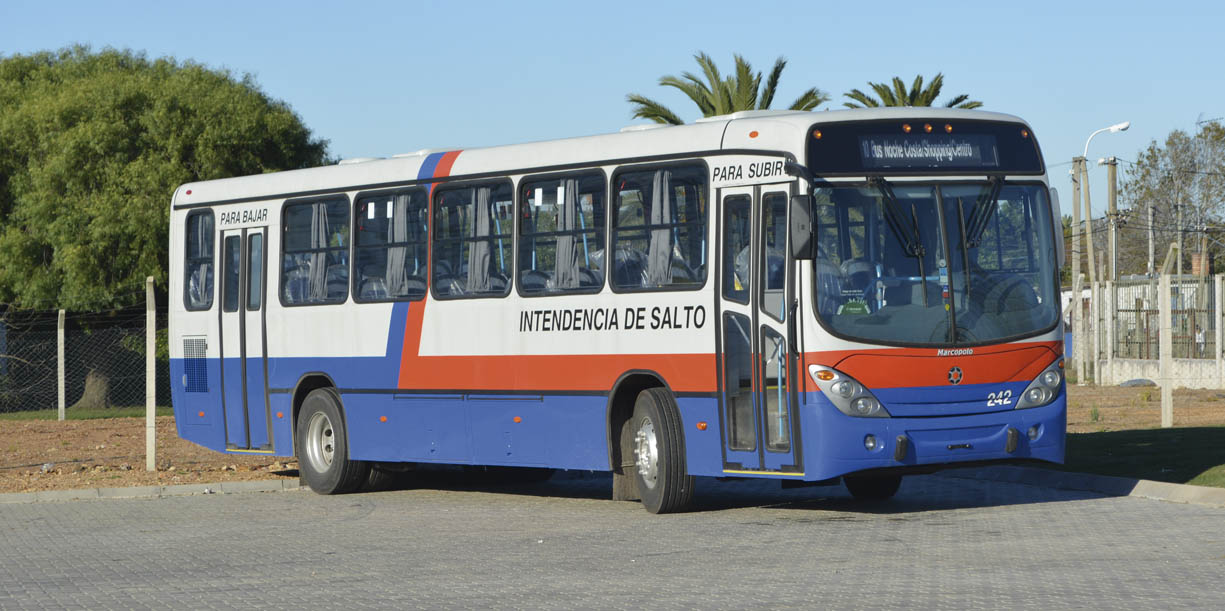 Llamado a concurso para la provisión de cargos de Conductores Cobradores en Unidad Ómnibus para la Intendencia de Salto (ambos sexos)