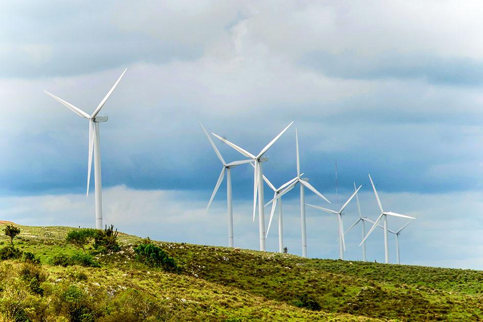 Fondo Sectorial de Hidrógeno Verde: nueve propuestas preseleccionadas para concreción de proyectos piloto