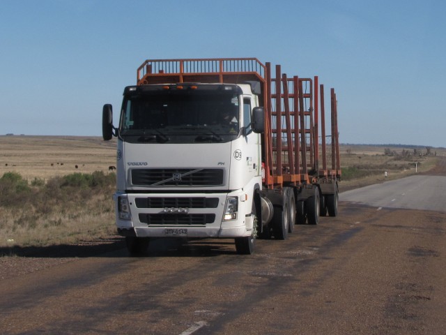 Inversiones en rutas y trenes llegarán a 700 millones de dólares desde mitad del año