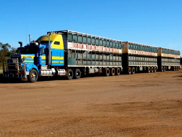 Los sorprendentes trenes de carretera