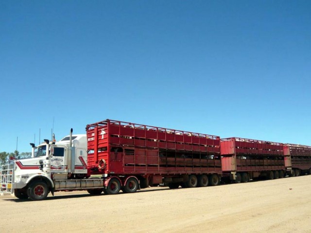 trenes_de_carretera_5