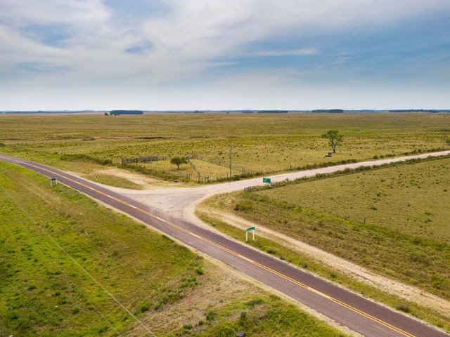 UPM inicia plan de obras de mejora de infraestructura vial para traslado de equipamiento de gran porte hacia UPM Paso de los Toros